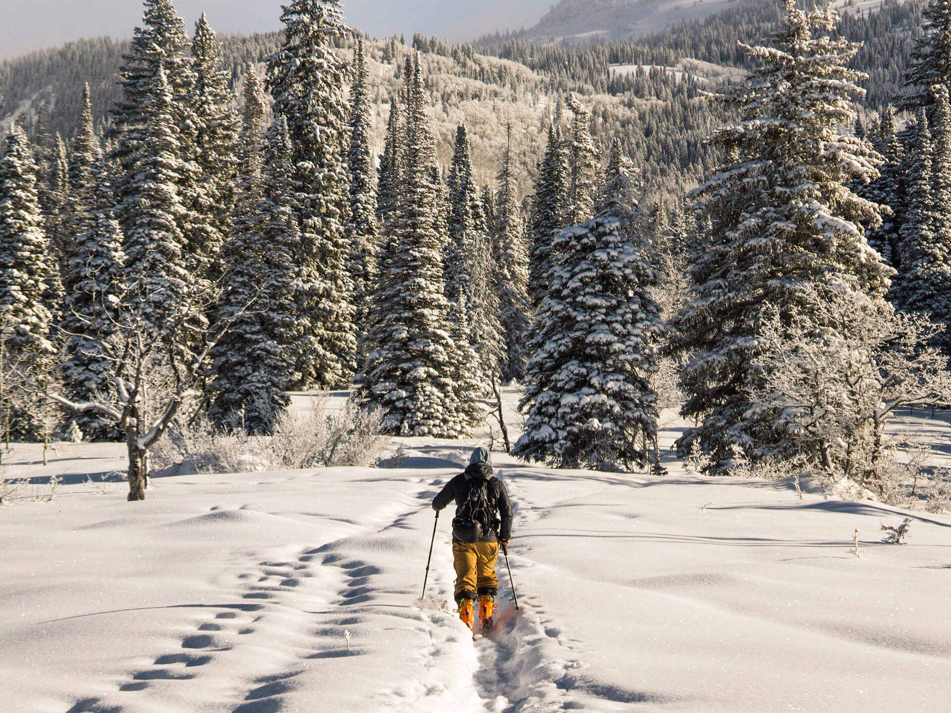 Attività per una giornata invernale ideale: idee tra relax e divertimento